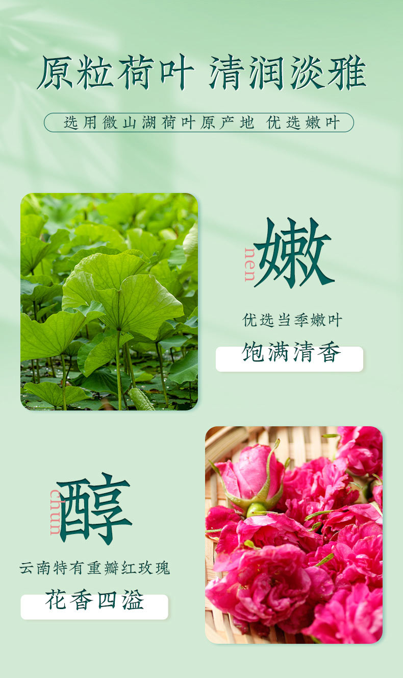 大肚茶選用原料荷葉清潤淡雅