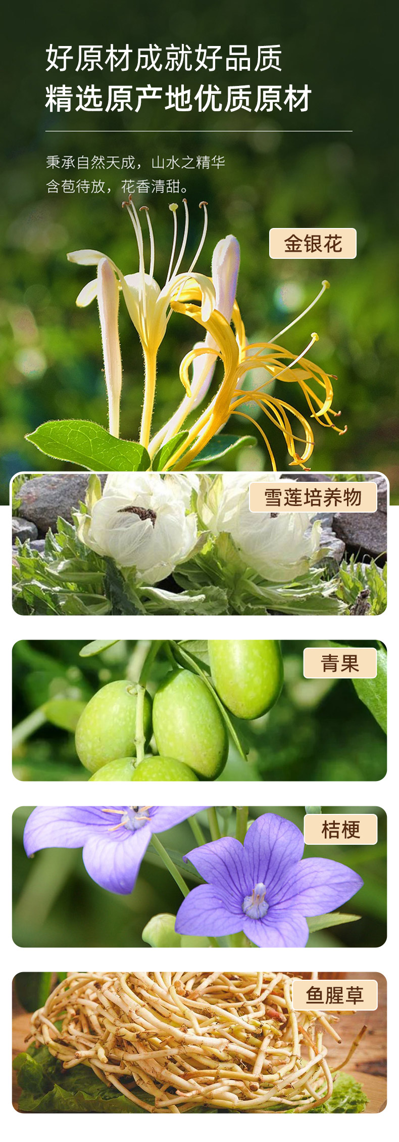 蓮花青桔顆粒(圖4) 詳情頁_04.jpg