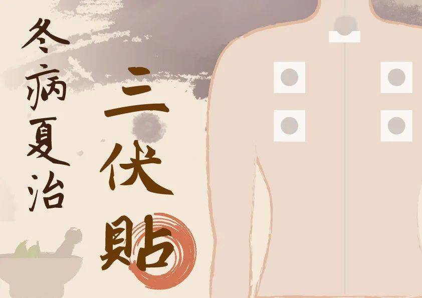 三伏貼批發(fā)廠家直銷！專業(yè)品質(zhì)，優(yōu)惠價(jià)格，助您贏得市場！